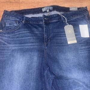 Wit & Wisdom Women's Indigo Stretch Jeggings